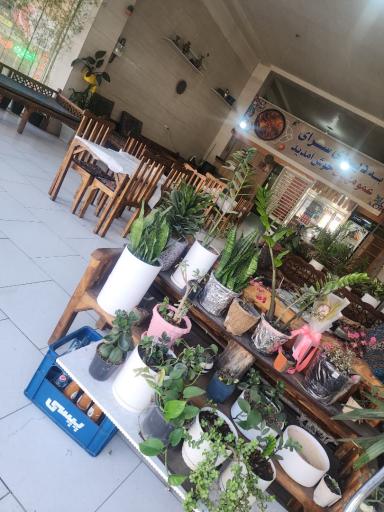 عکس دیزی سرای عمو مهدی