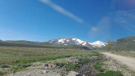 عکس کویج
