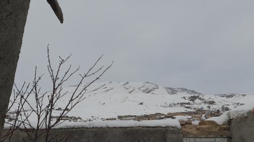 عکس کویج
