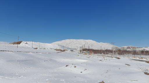 عکس کویج
