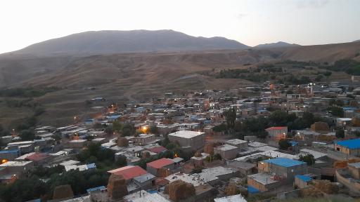 عکس کویج