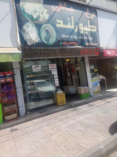 عکس مرغ و ماهی طیورلند