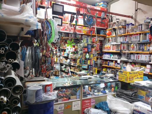 عکس ایرانیت رضائی