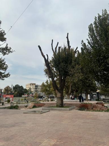 عکس میدان آزادی - سبزه میدان