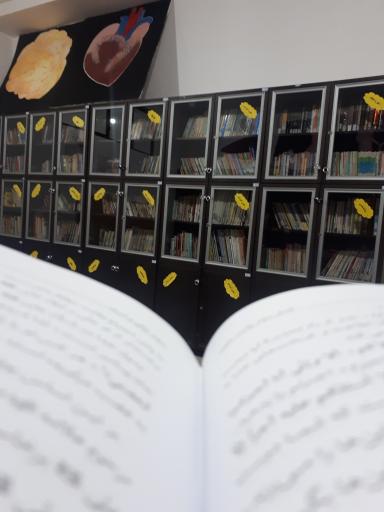 عکس دبیرستان آفرینش