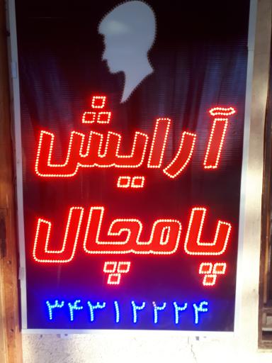 عکس آرایش مردانه پامچال