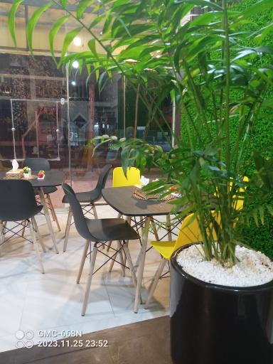 عکس کره کباب سام