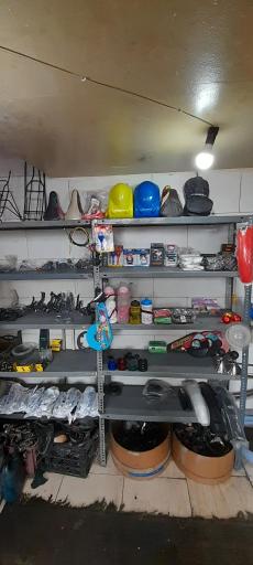 عکس دوچرخه سازی پیوندی 