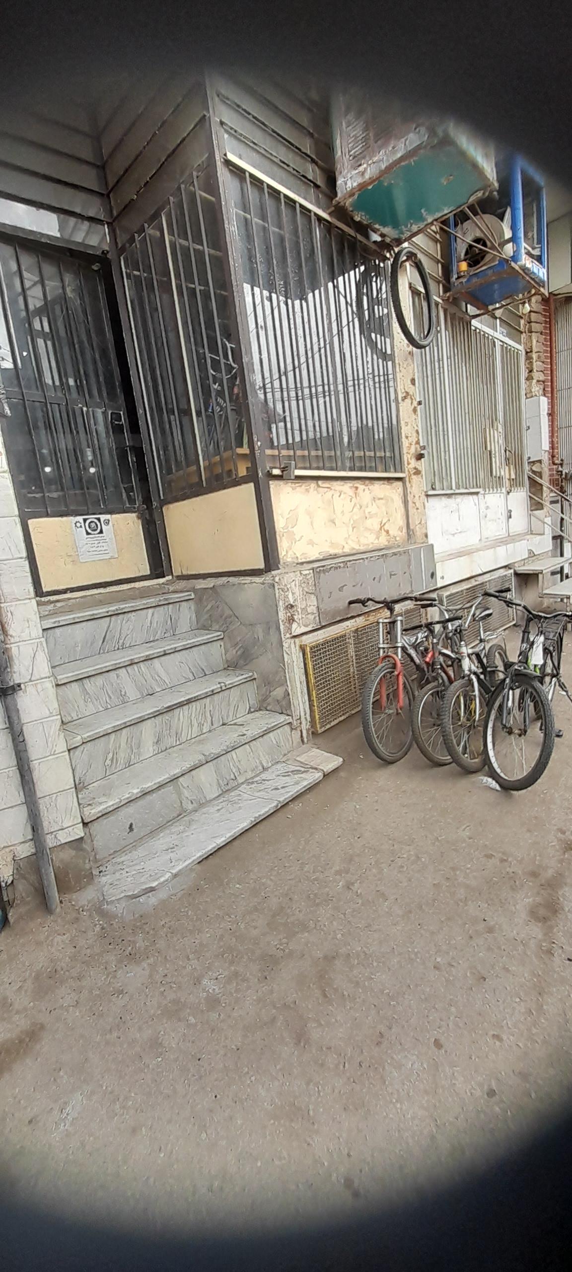 عکس دوچرخه سازی پیوندی 