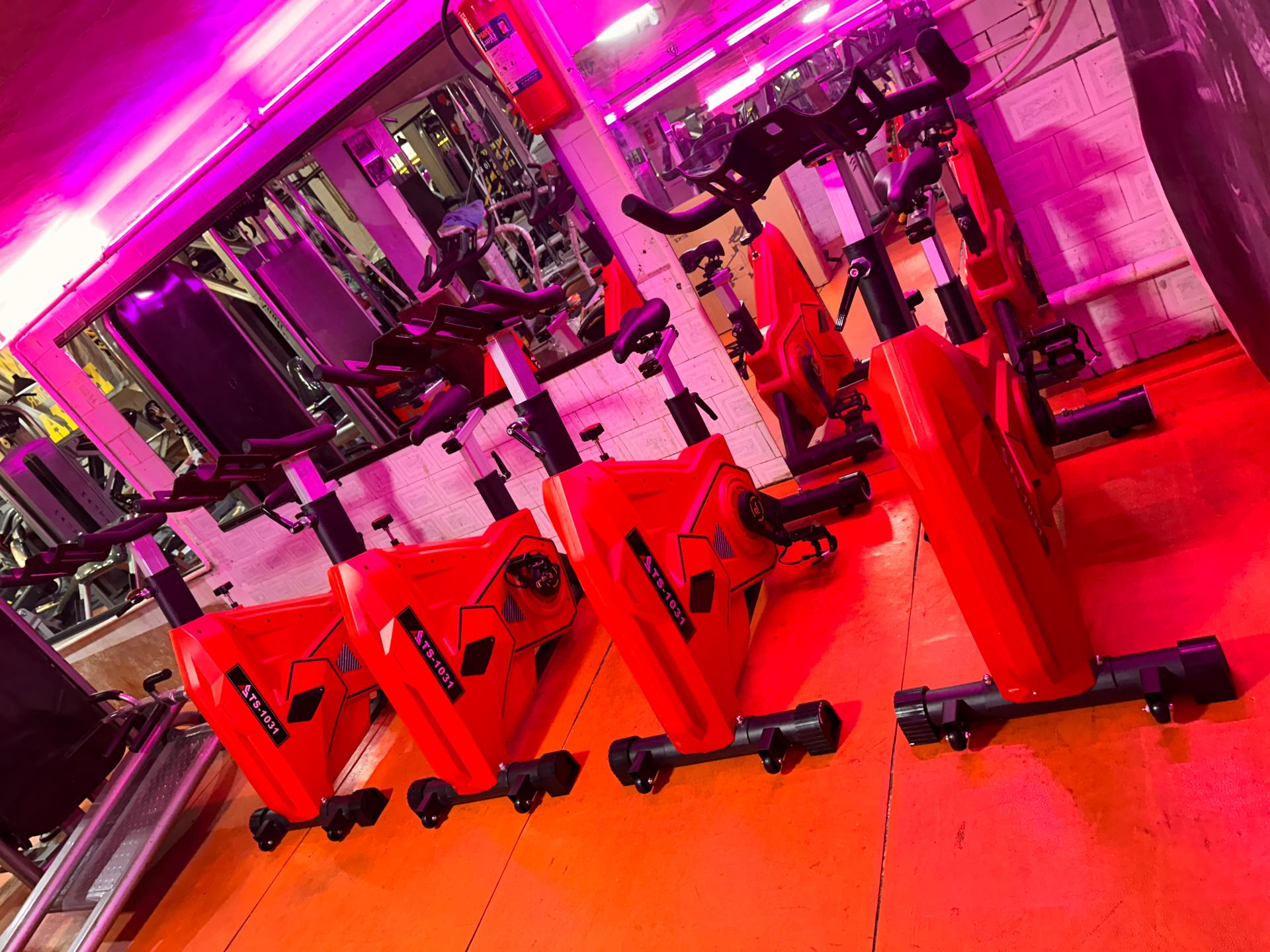 عکس باشگاه بدنسازی کایا