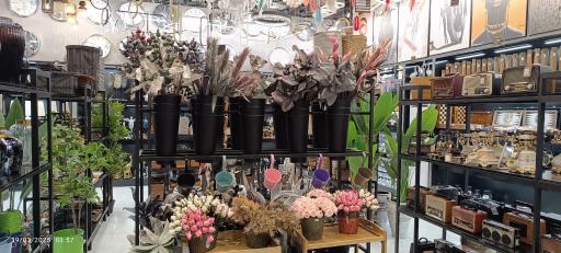 عکس گالری آرشین