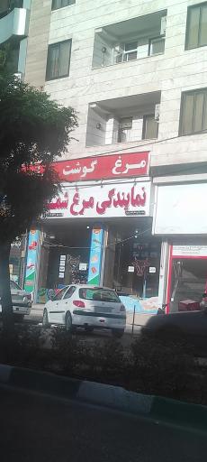 عکس پروتئینی مرغ شمال