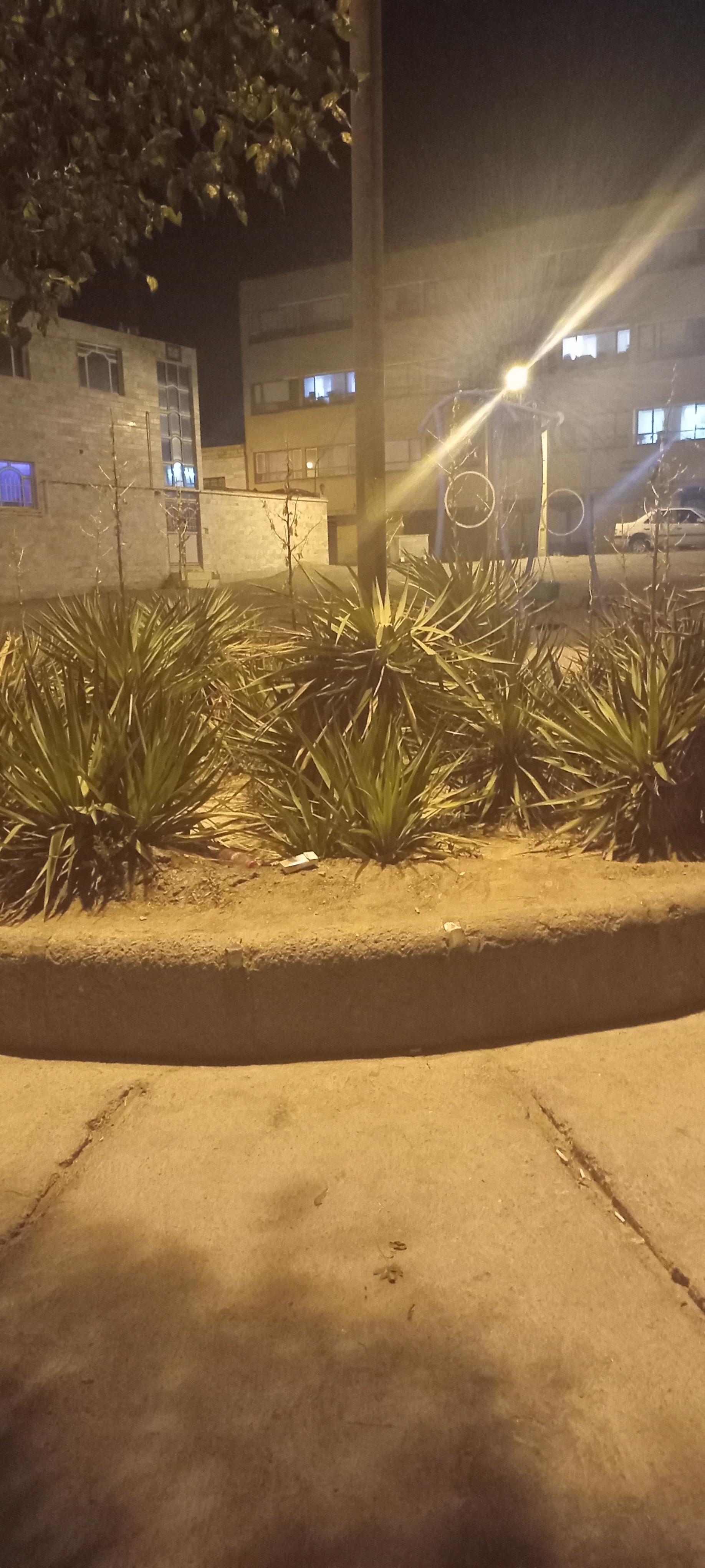 عکس بوستان چیتگران