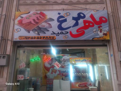 عکس مرغ و ماهی حمید