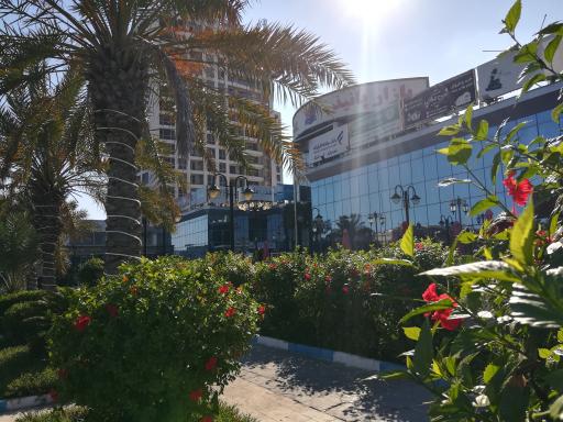 عکس بازار پانیذ