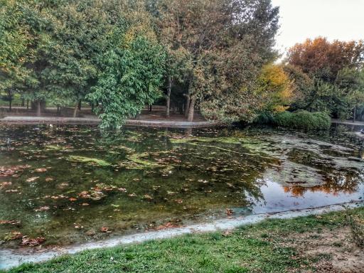 عکس بوستان پردیس هنر