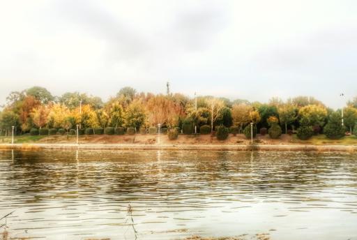 عکس بوستان پردیس هنر