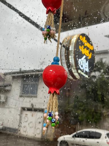 عکس محصولات ارگانیک انارک شعبه لاهیجان