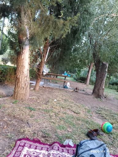 عکس بوستان پردیس هنر