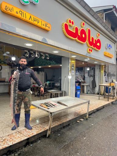 عکس مرغ و ماهی ایرج ضیافت