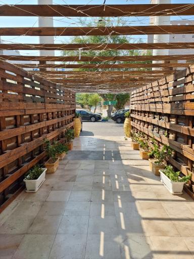 عکس بازار پانیذ