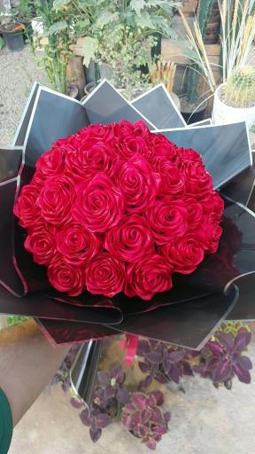 عکس سبز قزوین 