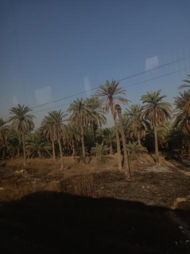 عکس ساحل بهمنشیر روستای سادات