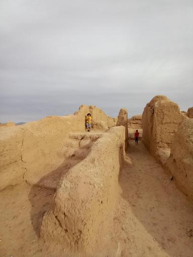 عکس ارگ قدیم طبس گلشن