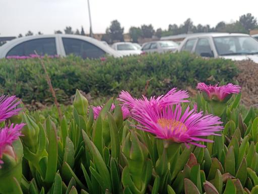 عکس پارکینگ کوروش ۱ دانشجویان