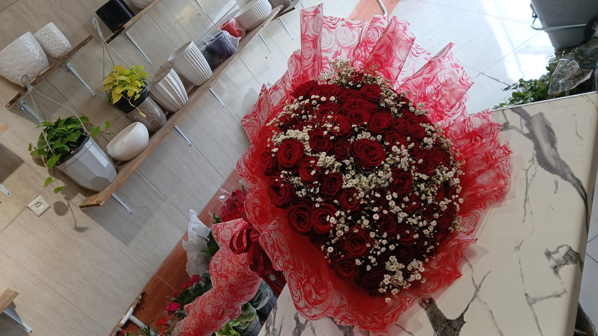 عکس گل آمانو