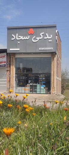 عکس یدکی سجاد