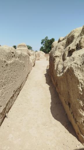 عکس ارگ قدیم طبس گلشن