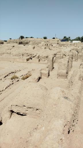 عکس ارگ قدیم طبس گلشن