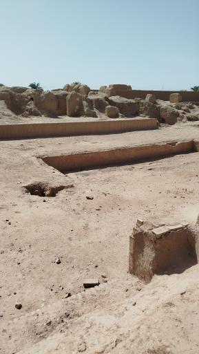 عکس ارگ قدیم طبس گلشن