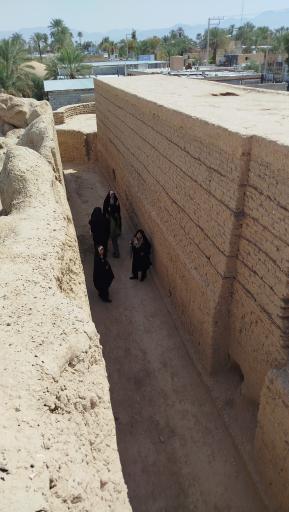 عکس ارگ قدیم طبس گلشن