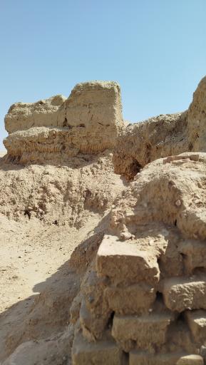 عکس ارگ قدیم طبس گلشن