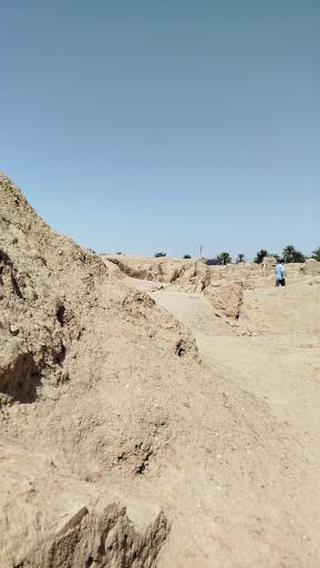 عکس ارگ قدیم طبس گلشن