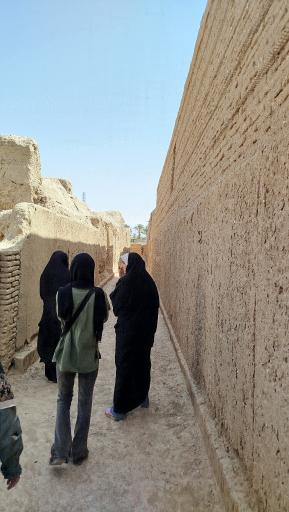 عکس ارگ قدیم طبس گلشن