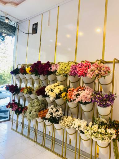 عکس گلفروشی ماری گلد