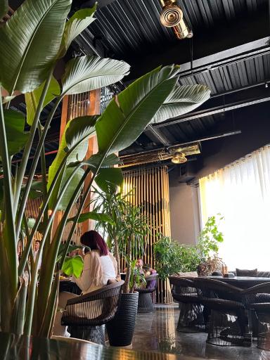 رستوران بین المللی مگریز