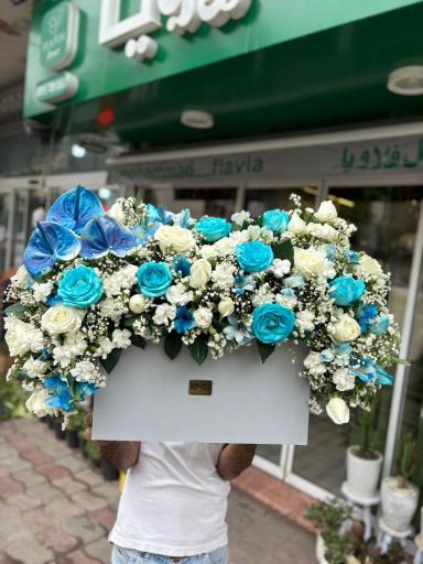 عکس گل فلاویا