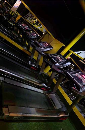 عکس باشگاه خلیج فارس