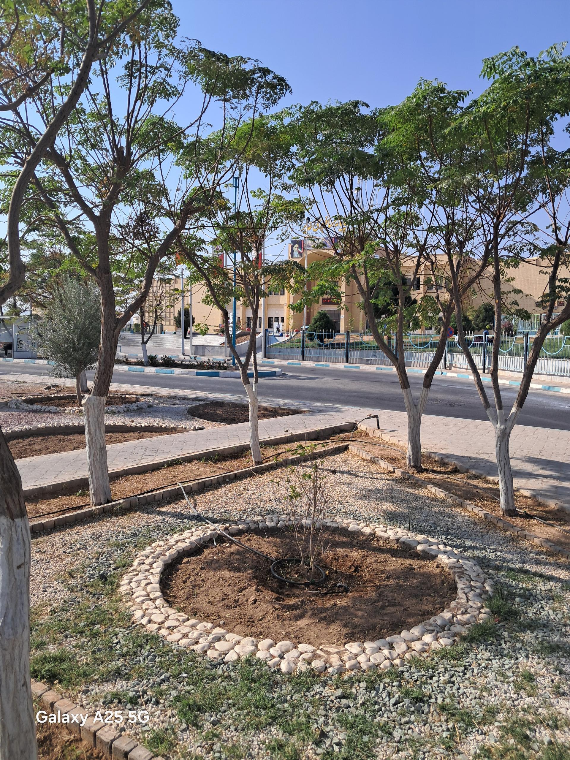 عکس پایانه مسافربری غدیر یزد