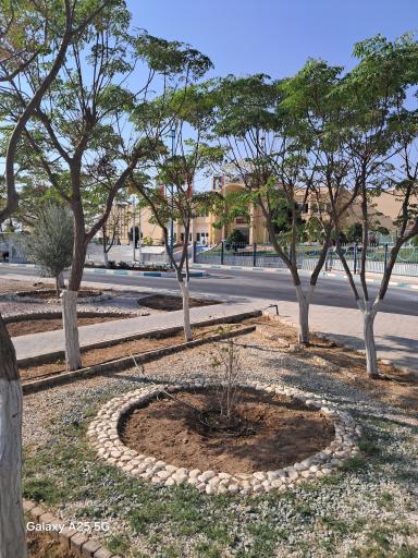 عکس پایانه مسافربری غدیر یزد