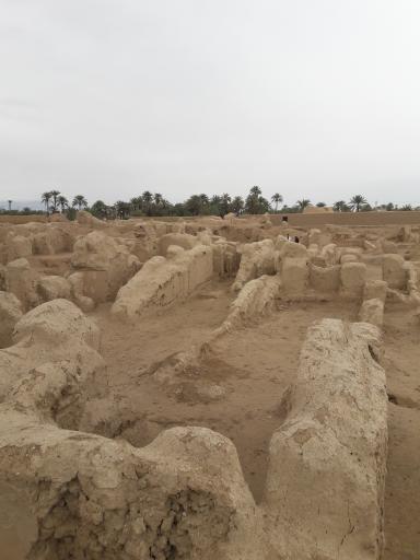 عکس ارگ قدیم طبس گلشن
