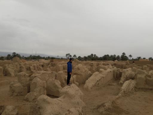 عکس ارگ قدیم طبس گلشن