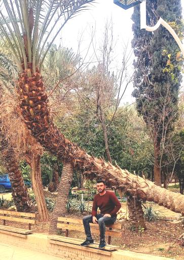 عکس ارگ قدیم طبس گلشن