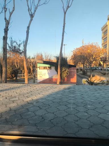 سرویس بهداشتی