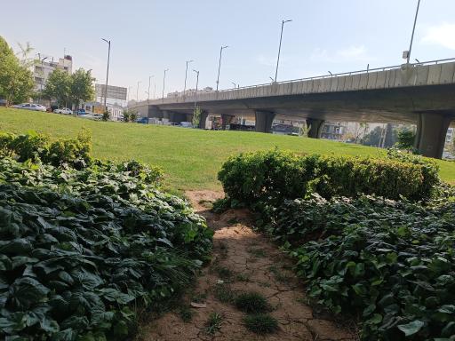 عکس فلکه معلم