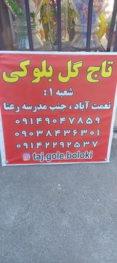 عکس تاج گل بلوکی